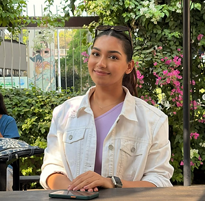 Screenshot 2025-05-26 at 7.49.39 PM.png