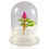 Thumbnail: Zero-maintenance Celosia Terrarium (Cockscomb) 01