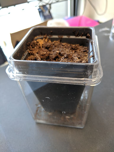 VenusFlytrap Transplant Step 4 Add a bot