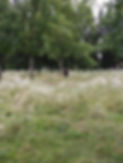 20210803_165144.jpg