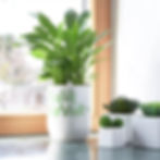 Miniatura: Posca Juego De Marcadores Pintura Acrílica X 8 Punta Media