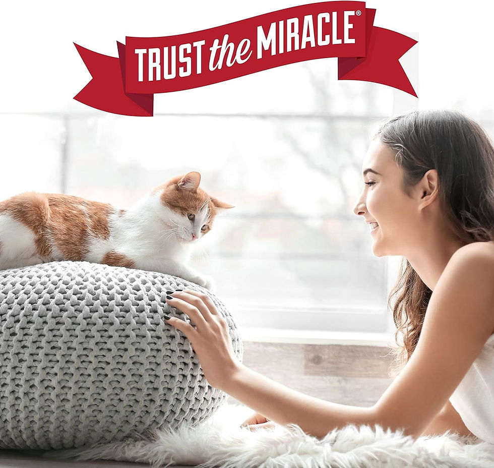 Miniatura: Nature's Miracle Removedor de manchas y olores