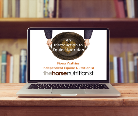 Remote Consultancy Service