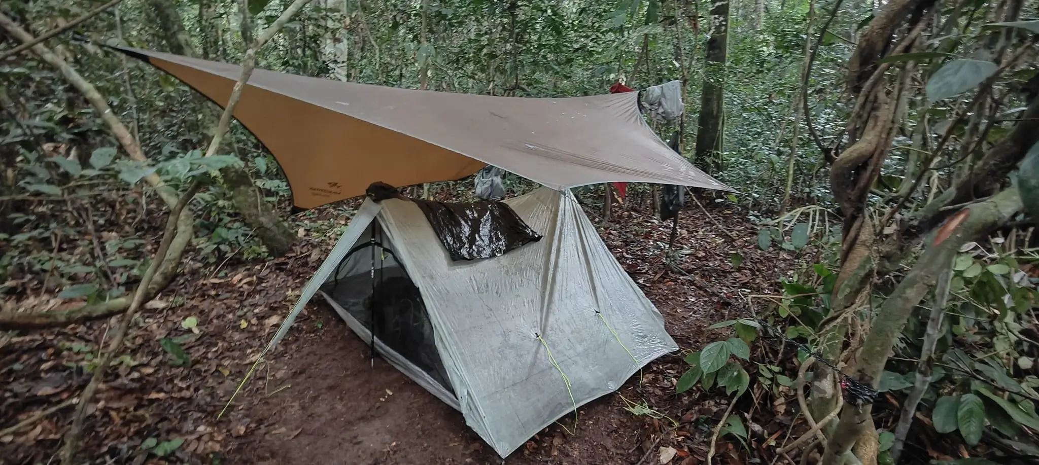 bivouac en forêt tropicale.webp