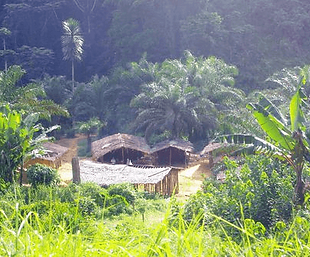 village tranquille 2.png