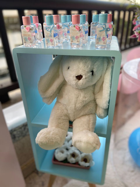 DECORAÇÃO CHÁ REVELAÇÃO COELHO DETALHES 1.jpeg