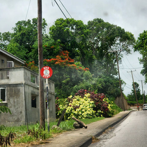 inspiration (10).jpg