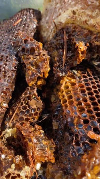 Thumbnail: Louisiana Raw Local Honey (1 lb.)