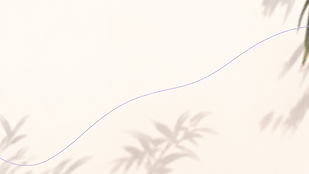 ChatGPT Image Sep 11, 2026, 09_01_58 PM.png