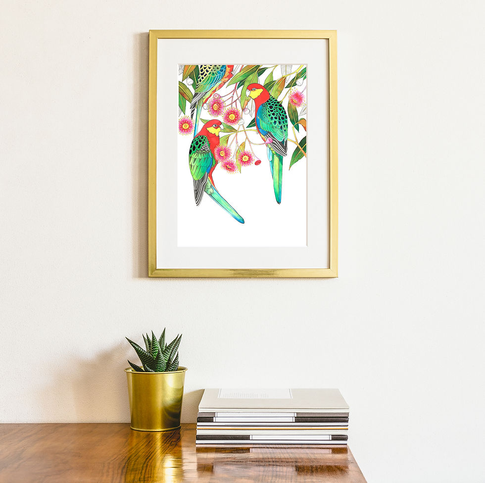 Thumbnail: Western Rosellas A4