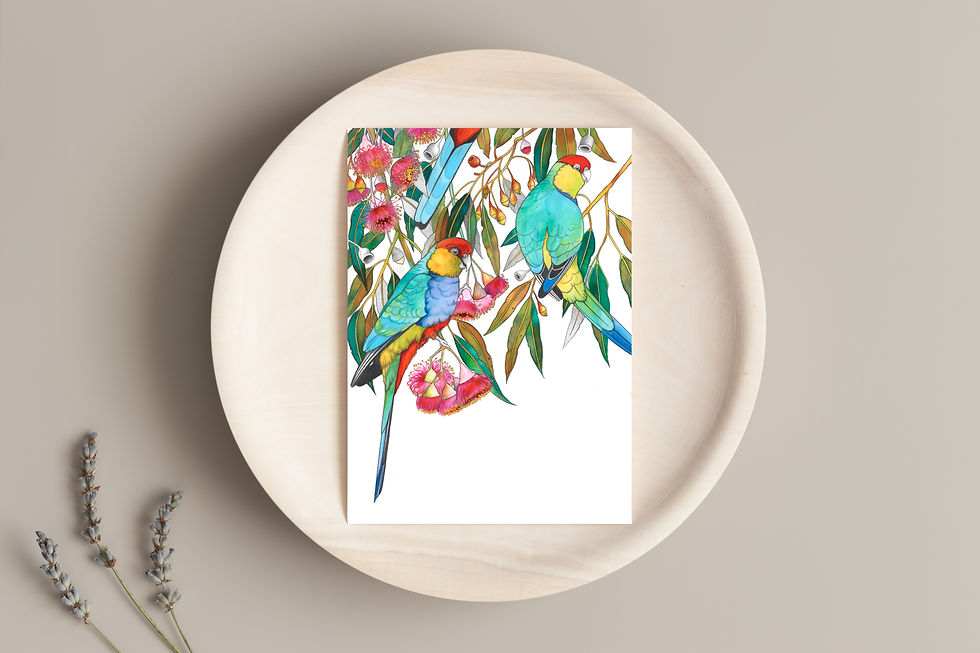 Thumbnail: WA Parrot Collection - Pack of 3 Greeting Cards
