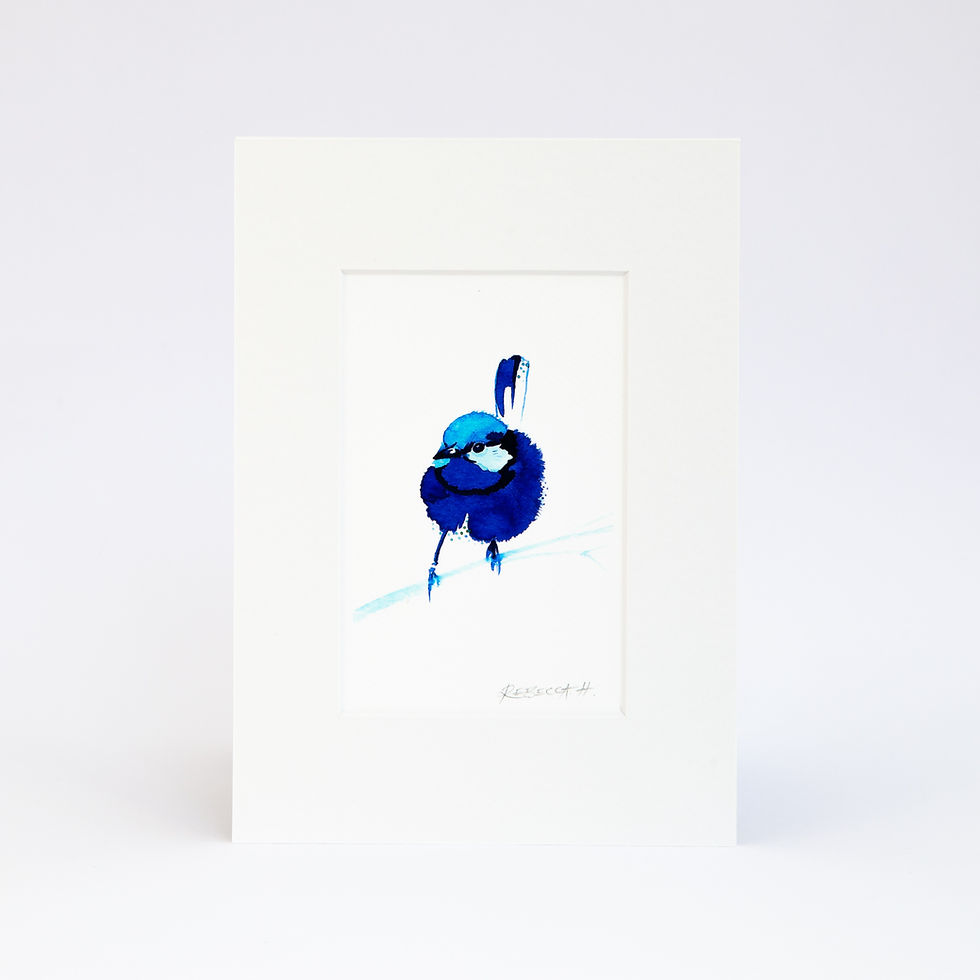 Thumbnail: Tiny Blue Wren