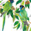 Thumbnail: Ringneck Parrots (28s) A3