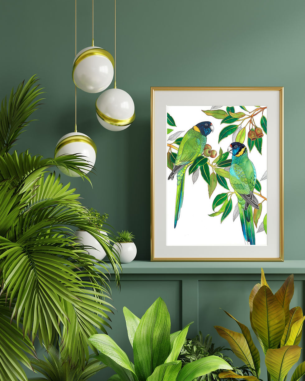 Thumbnail: Ringneck Parrots (28s) A3