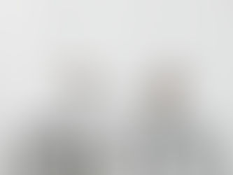 BILLION lionel/ミニベロ