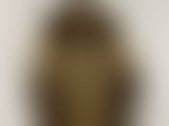 THE NORTH FACE WSサーミアムプリマロフトJKT