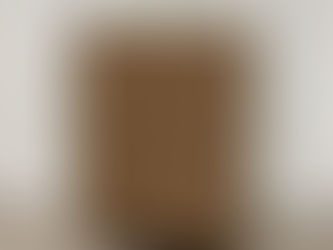 シューズBOX ブラウン