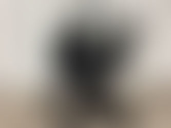 ＳＫＩＳＯＰＧＯ　分離型ペットカート買取させていただきました。