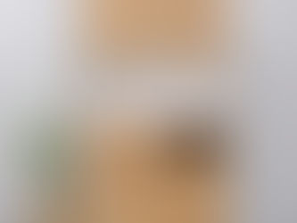 アウトレット未使用品　ＬＯＷＹＡ　チーチ１００　キッチンボード