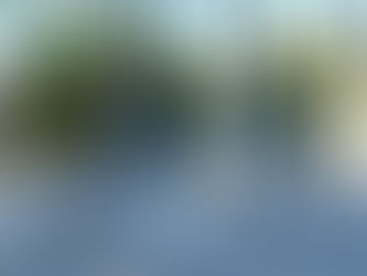 2台同時に入荷しておりますBROMPTOM/ブロンプトン　　C LINE　EXPLORE　MID クラウドブルー