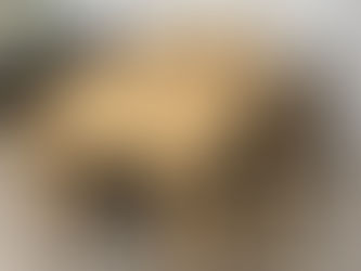 アウトレット(未使用品)サム/レベテ ダイニング5点セット