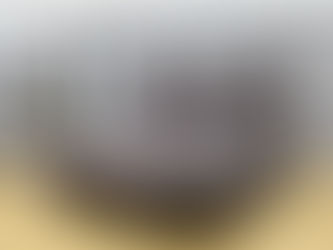 希少なトーゴが入荷致しました👏🏻