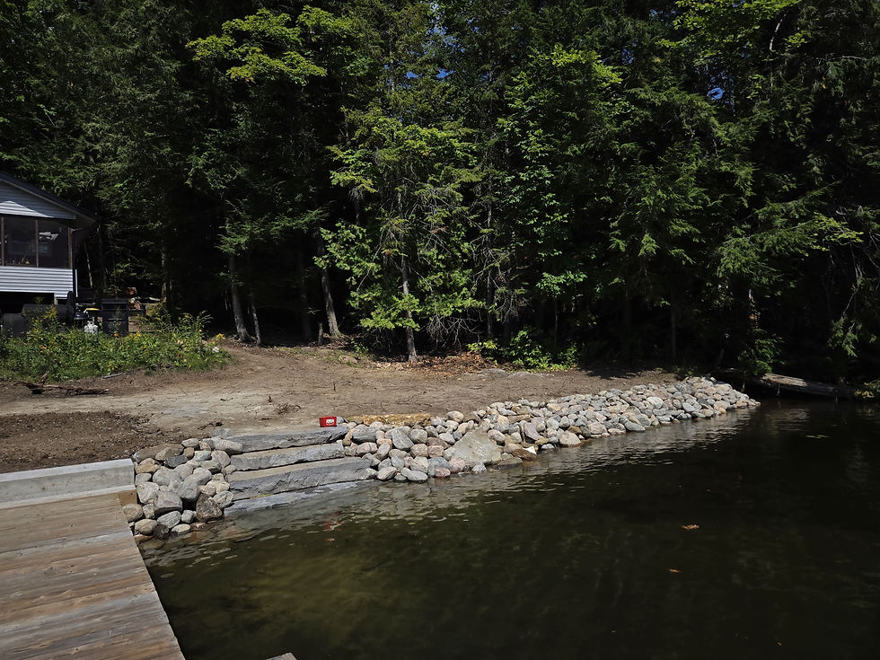 fix cottage shoreline