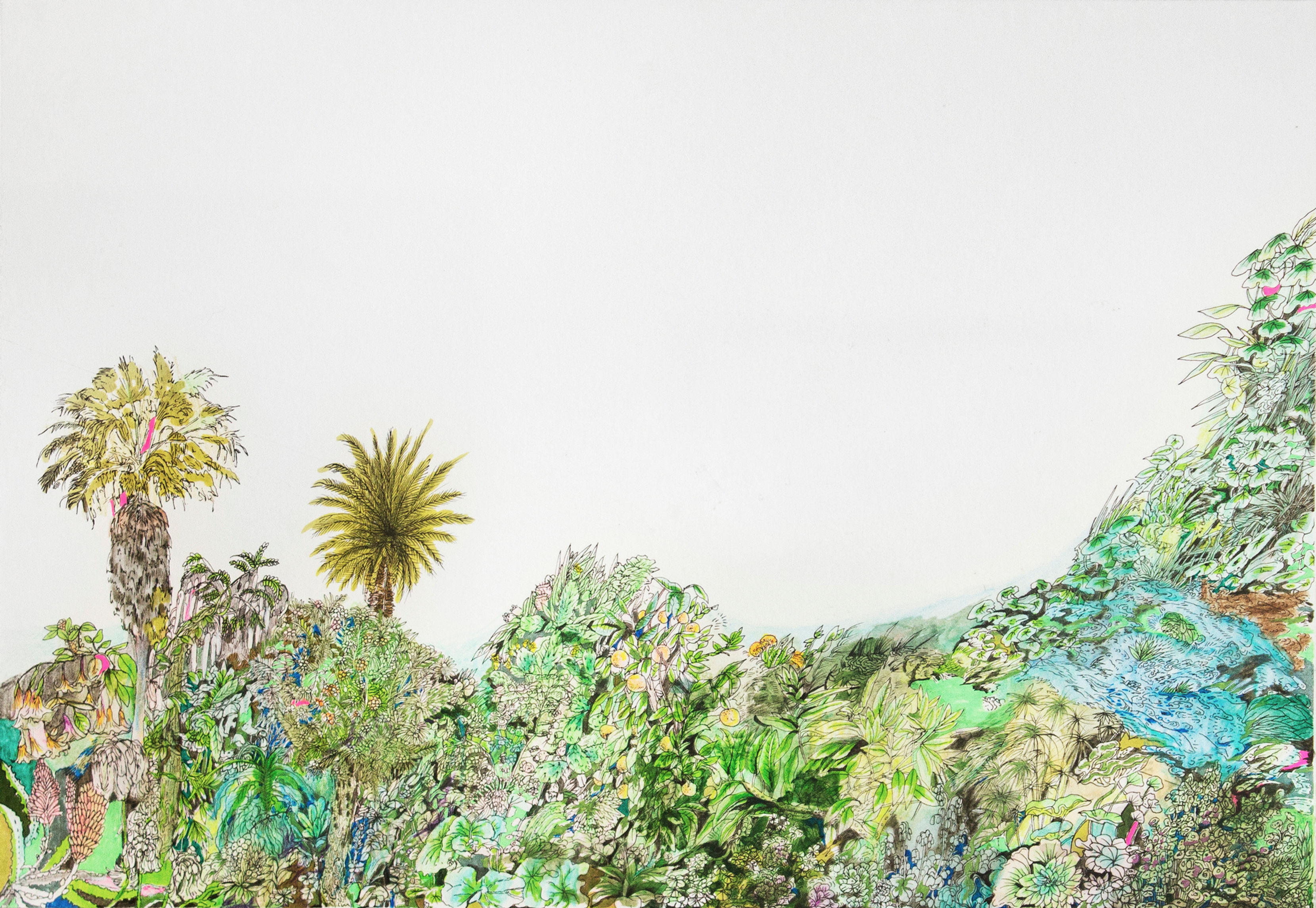 Lotus Land     41 x 30 cm