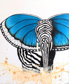 Serie: Schmetterzebrafant