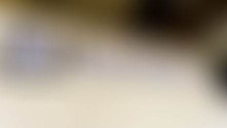 Hohe Auszeichnung der Ö.L.R.G.