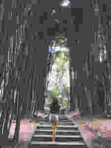 woman up steps flanked by bamboo forest
