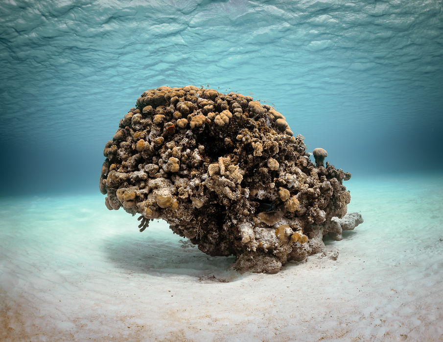 Rock 16x20.jpg