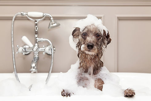 Bath time Image6.jpg
