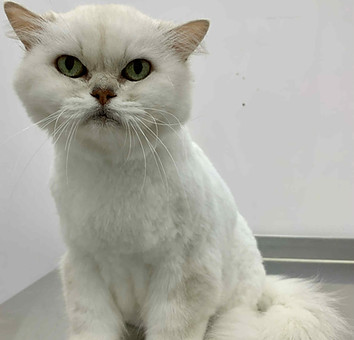 b9eb7938-8aad-46c7-af0b-a0018a2fc699_edi