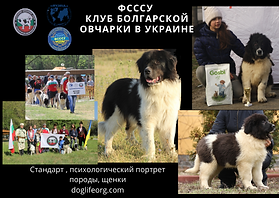 ФСССУ клуб болгарской овчарки .png