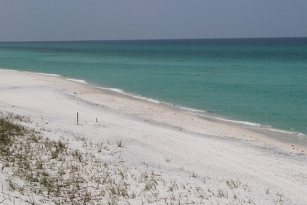 Empty beach with white sand and sparse grass, meeting calm turquoise waves under a clear sky. Peaceful, serene coastal scene.
