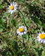 DSC_3090.JPG