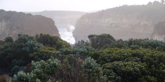 chasm-nz-2.jpeg