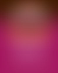 Artistas confirmados para una nueva Peña Oficial de La Chaya