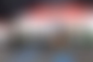 El Festival de Doma y Folklore recaudó 2.200 millones de pesos