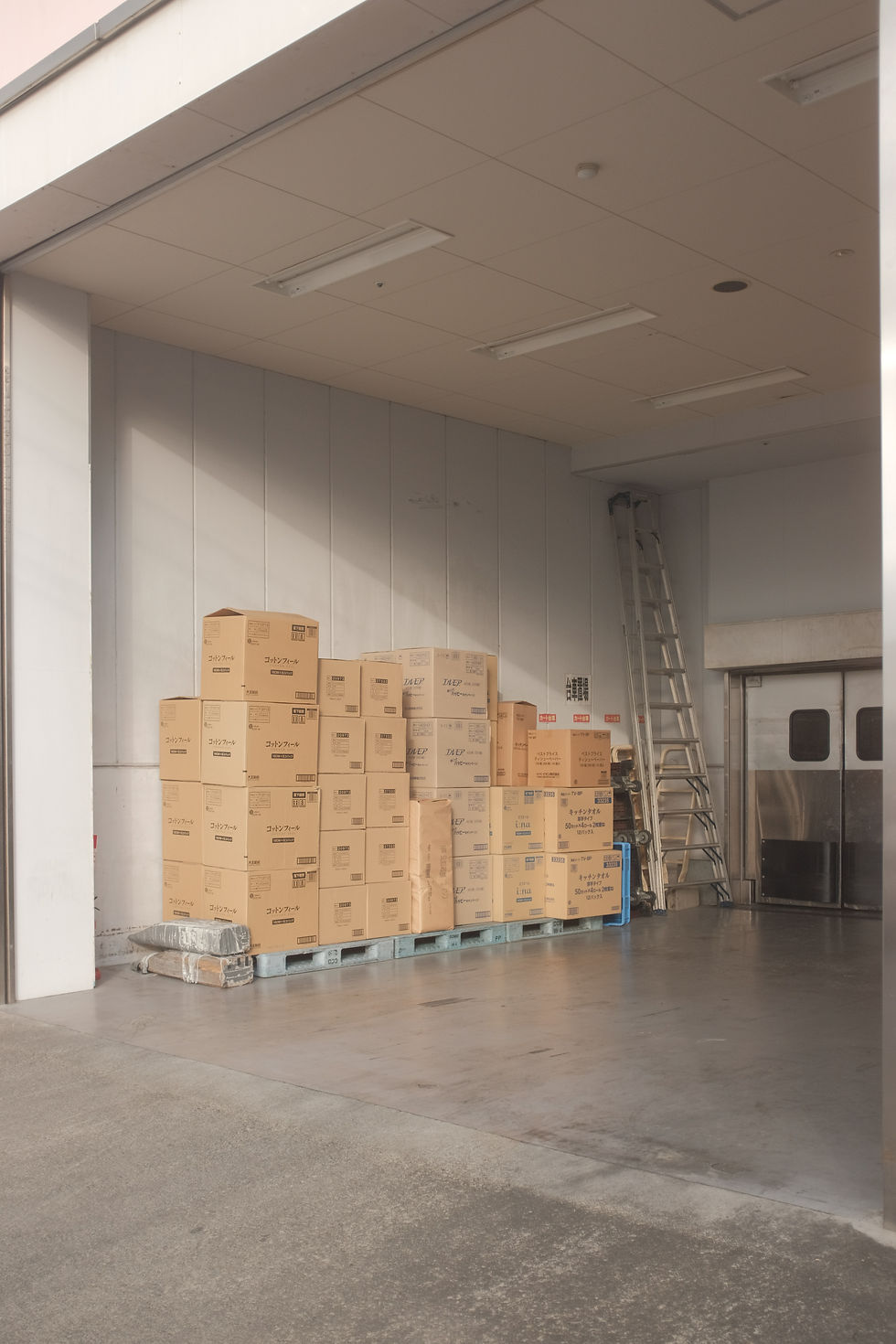 Stacked cardboard boxes on pallets in a warehouse with a metal ladder and double doors. Neutral tones and industrial setting.