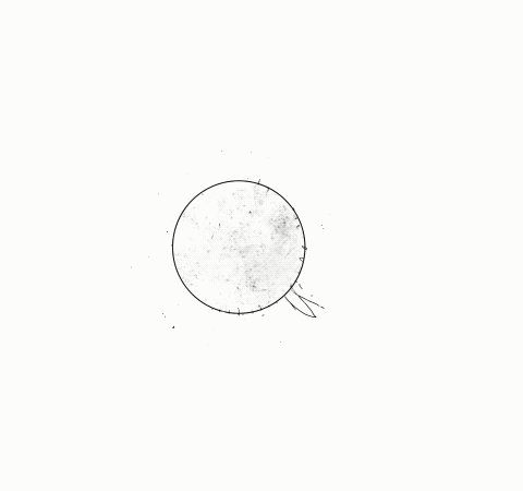 Untitled_Artwork 6.gif