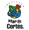 imc-logo.png