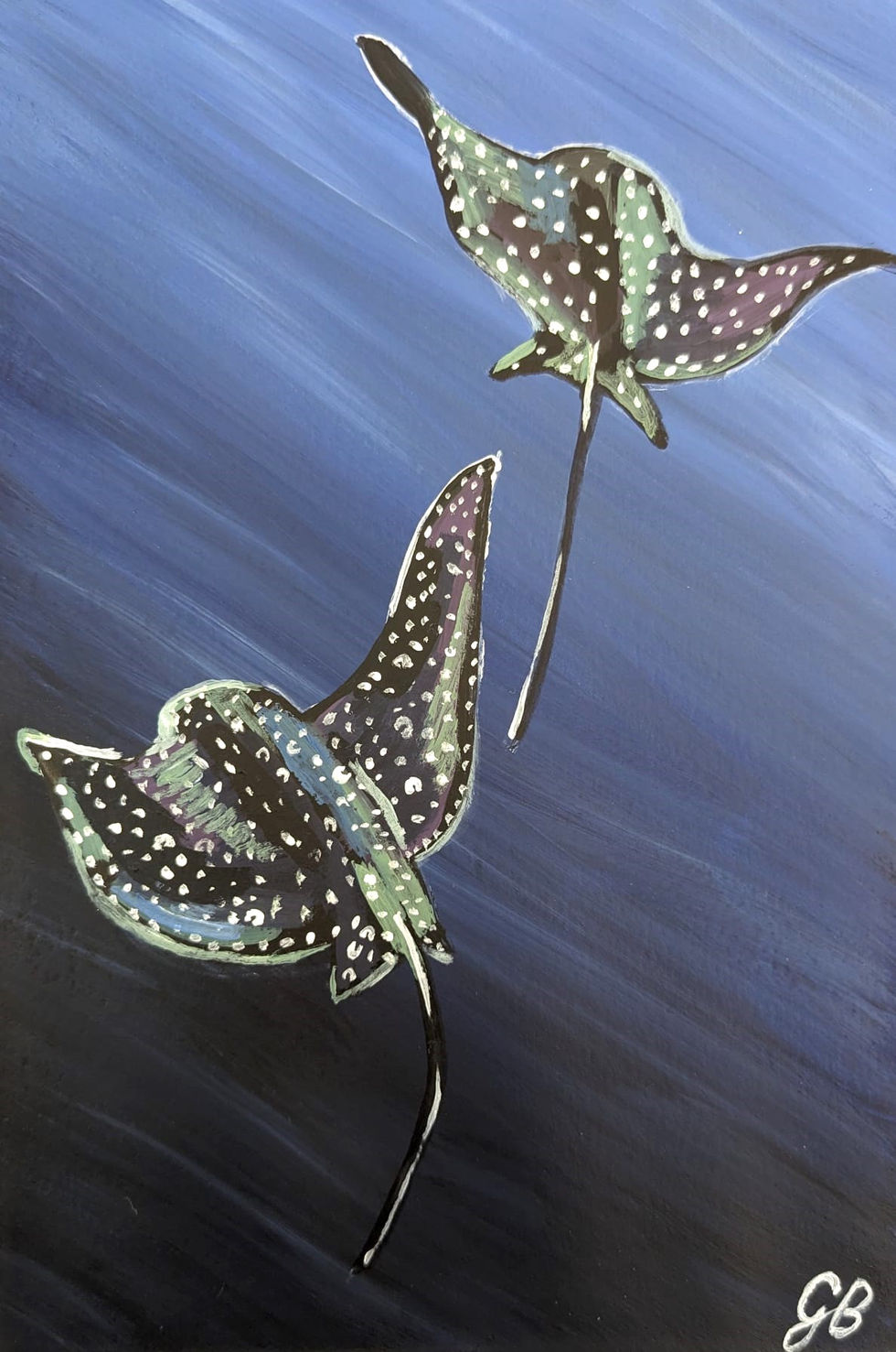 Rays