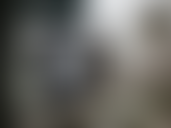 Το λευκό κλουβί