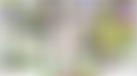 Florais de Bach - Corpo e Alma, que é o nosso Ser Real, Unidos! É a Alma dando a Vida a nosso Corpo.