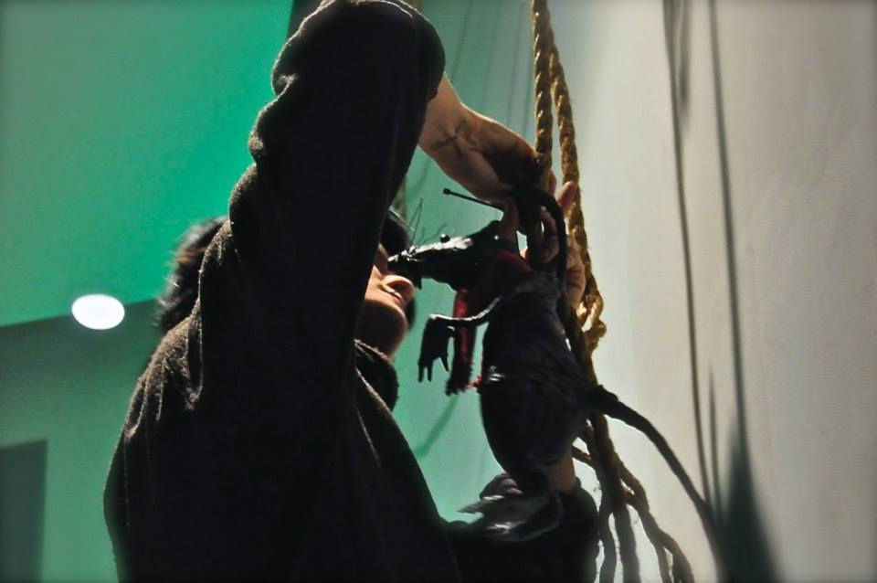 Rat's exhibition preparation