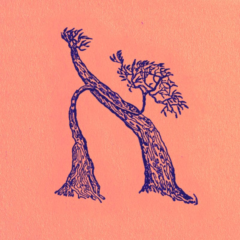 Image taken from the Jewish Public Library in Montreal