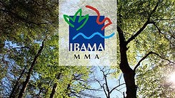 Concurso-Ibama-para-568-vagas-efetivas-confira2.jpg