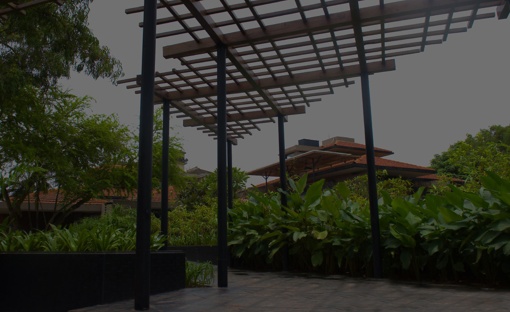 Banner Shaded-05.jpg